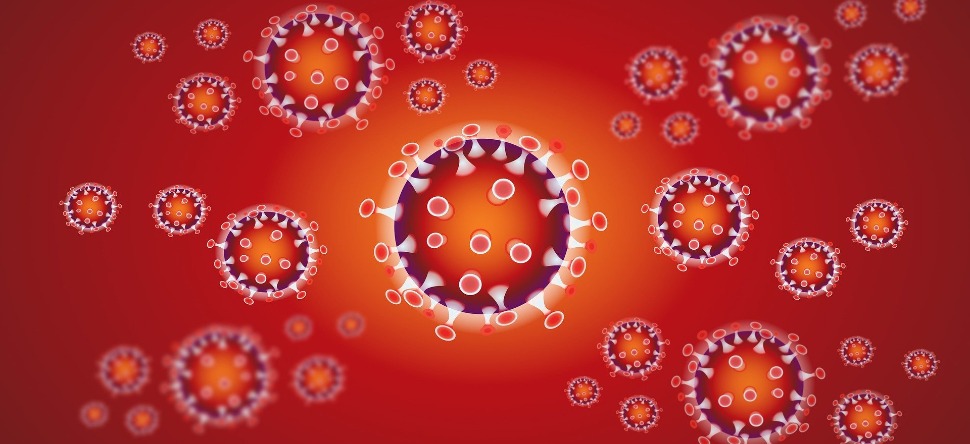 You are currently viewing Coronavirus : élections, spectacles, économie, les infos du jour