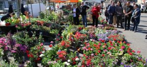 Lire la suite à propos de l’article Le marché aux Fleurs du Rotary revient cette année à Bergerac