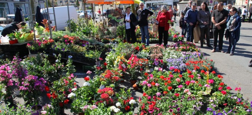 You are currently viewing Le marché aux Fleurs du Rotary revient cette année à Bergerac