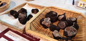 Lire la suite à propos de l’article Les truffes sont arrivées sur le marché de Bergerac