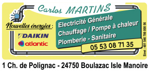 Lire la suite à propos de l’article Entreprise Carlos Martins