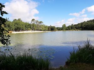 Lire la suite à propos de l’article L’étang à Neufont est de nouveau ouvert à la baignade
