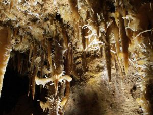 Lire la suite à propos de l’article Un touriste casse une stalactite de plusieurs milliers d’années