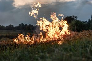 Lire la suite à propos de l’article Incendie en Dordogne : 2 hectares de végétation détruits