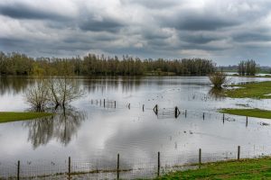 Lire la suite à propos de l’article En Dordogne, crue maximale atteinte