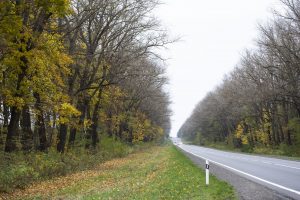 Lire la suite à propos de l’article Accident mortel en Dordogne