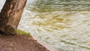 Lire la suite à propos de l’article Périgueux demande l’état de catastrophe naturelle