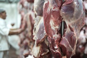 Lire la suite à propos de l’article Opération coup de poing : des militants bloquent un abattoir en Dordogne