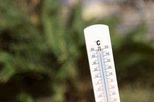 Lire la suite à propos de l’article Canicule : la Dordogne placée en vigilance orange