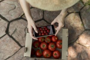 Lire la suite à propos de l’article Eyliac : des casiers connectés pour consommer local