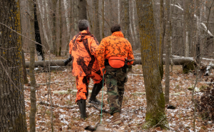 Un chasseur blessé par balle lors d’une partie de chasse en Dordogne