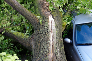 Lire la suite à propos de l’article Agonac : un adolescent blessé après avoir plongé en voiture dans un ruisseau