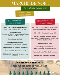 Lire la suite à propos de l’article Marché de Noël au Château La Tilleraie