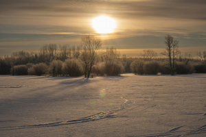 Lire la suite à propos de l’article Neige en Périgord vert : la Dordogne placée en vigilance jaune