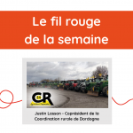 Fil rouge de la semaine Fil rouge de la semaine