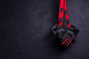 Le MMA débarque au Palio de Boulazac