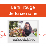 Fil rouge de la semaine