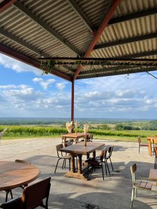 Lire la suite à propos de l’article Brunch Domaine du Haut Montlong