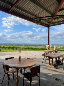 Lire la suite à propos de l’article Brunch Domaine du Haut Montlong