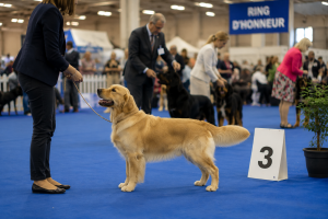 2 000 chiens attendus ce week-end à Marsac-sur-l&rsquo;Isle