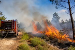 Lire la suite à propos de l’article Canicule : déjà trois incendies en Dordogne