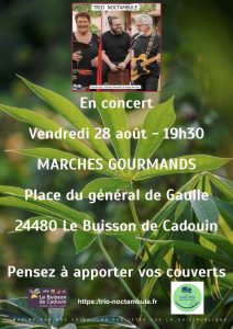 Lire la suite à propos de l’article CONCERT TRIO NOCTAMBULE