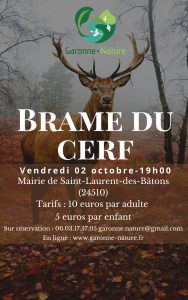 Lire la suite à propos de l’article Sortie brame du cerf